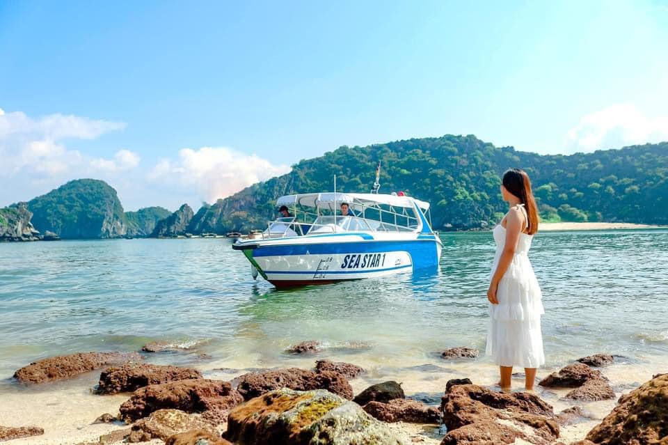 Cho thuê Cano tham quan vịnh Lan Hạ, Cát Bà